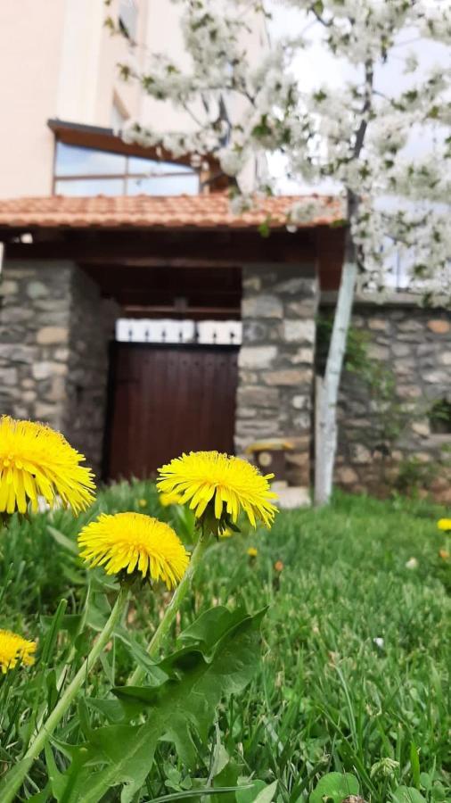 Guesthouse Tershana Peshkopi Exterior foto